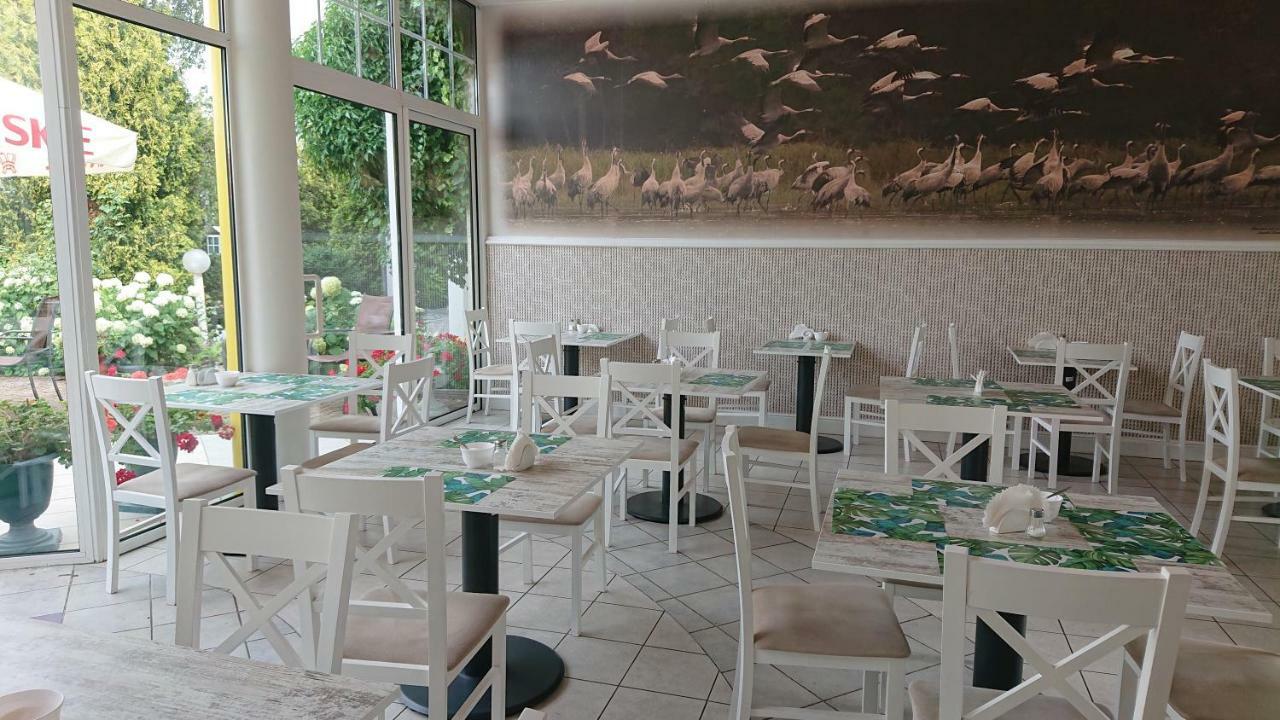 Bed and Breakfast Damroka Леба Экстерьер фото